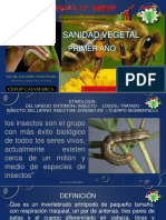 Sanidad Agrícola 2017.pdf