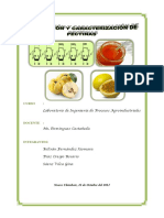 practica3pectinas-130107230004-phpapp02