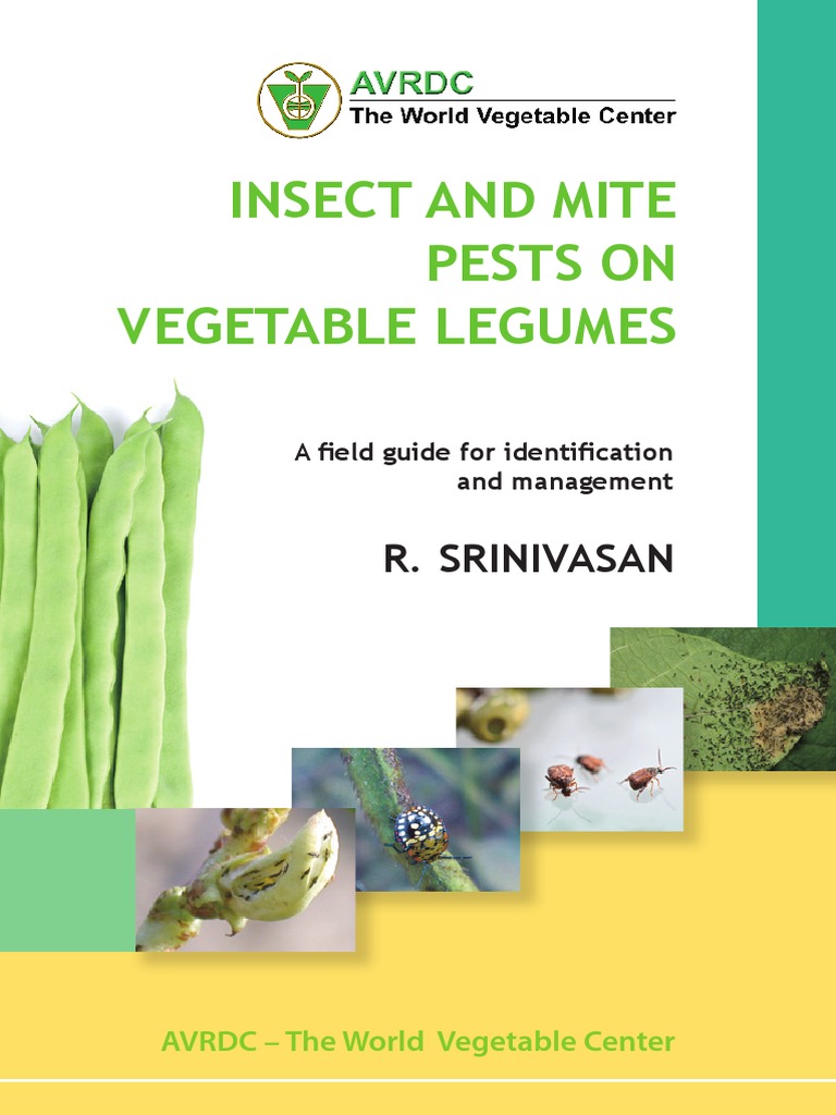 Eb0228 Insect and Mite Pests On Vegetable Legumes PDF Pupa