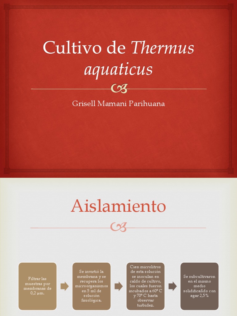 Cultivo de Thermus Aquaticus PDF