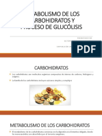 Metabolismo de Los Carbohidratos Bioquimica