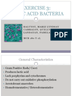 EXERCISE 3 (Lactic Acid Bacteria)