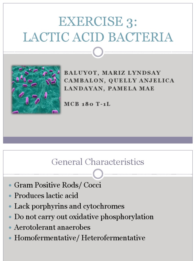 Characteristics of Lactic Acid Bacteria | PDF | Science & Mathematics