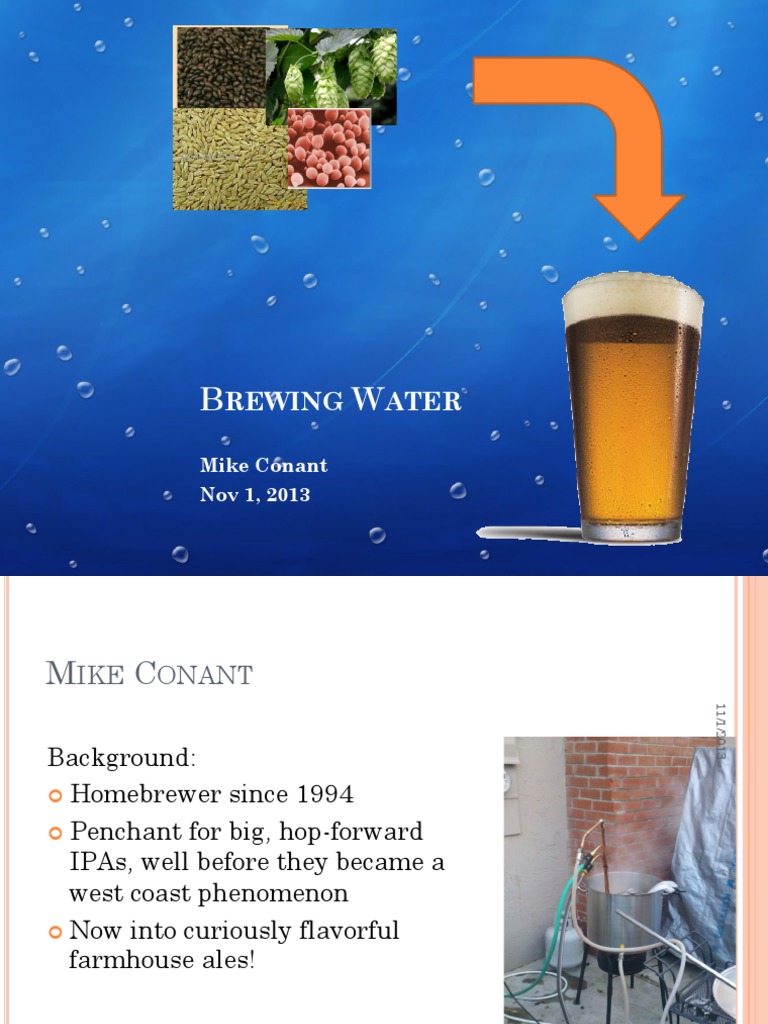 Brewing Water PDF Alkalinity Sodium Chloride
