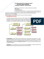 Circulación en plantas y seres vivos