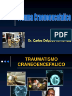 Traumatismo Craneoencefalico Nay