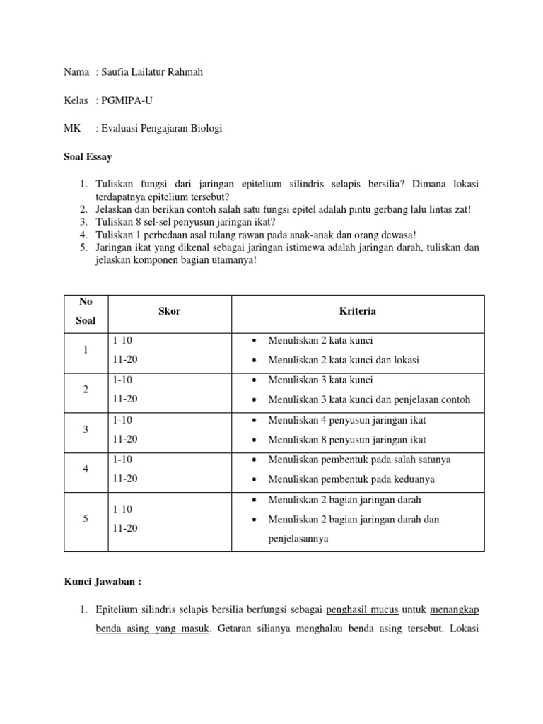 Analisis Soal Essay Sofi