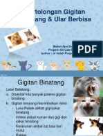 Pertolongan Gigitan Binatang & Ular Berbisa