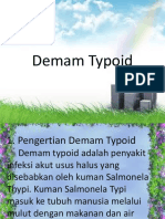 Demam Typoid