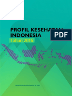 Profil Kesehatan Indonesia 2016 PDF
