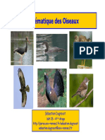 Oiseaux L3