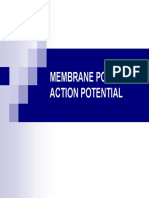 Membrane Potential Powerpoint