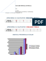 EVALUARE INITIALA SI FINALA Grafice