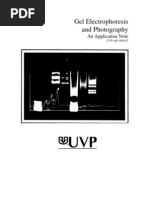 Download Gel Electrophoresis by Yasha Hota SN36120005 doc pdf