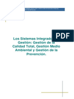 Los Sistemas Integrados de Gestion - TRINORMA.pdf