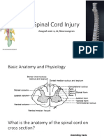 IT 3 - Spinal Cord Injury