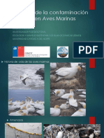 02- Presentación A. Varela- Contaminación Lumínica en Aves.pdf