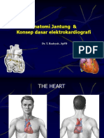 EKG 1 Dasar