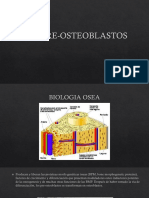 Biologia Osea