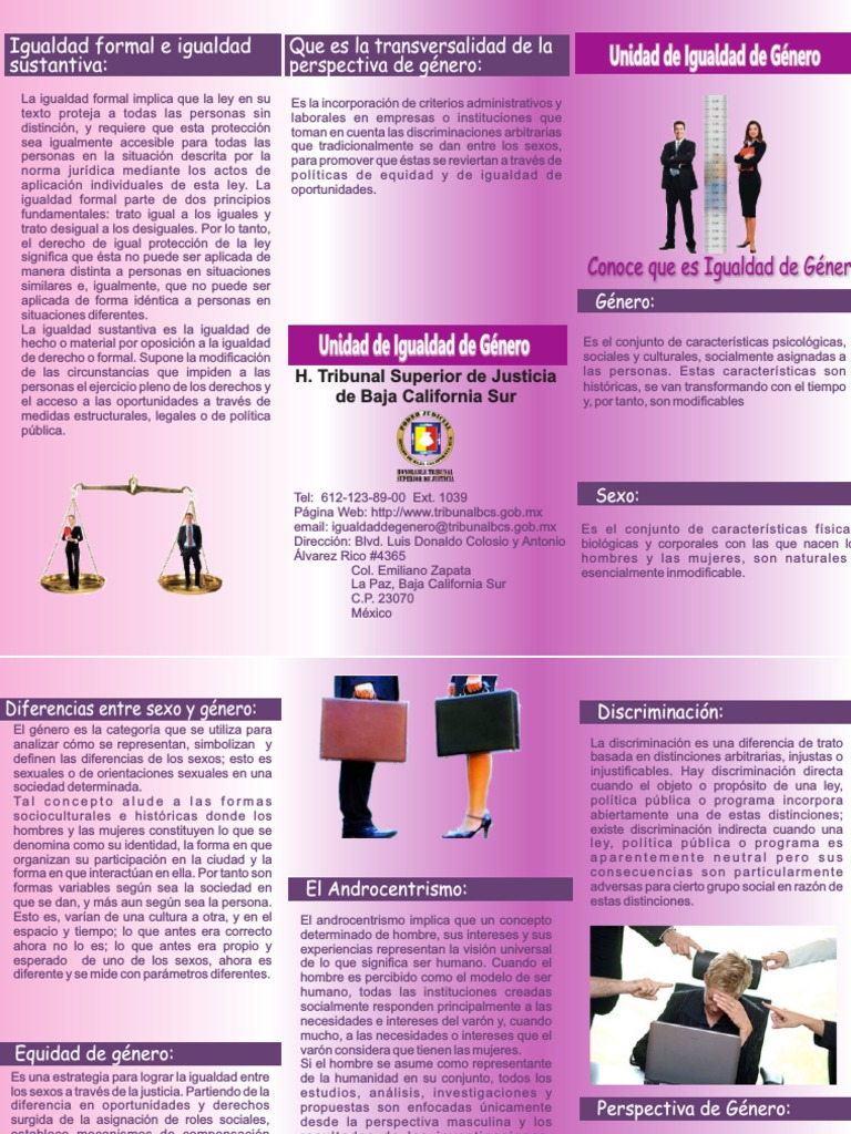 Tríptico sobre Igualdad de Género | PDF | Igualdad de género | Estudios ...