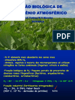 1aula fixaçao biologica de n.pdf
