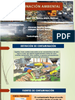 contaminacion_ambiental diapositivas