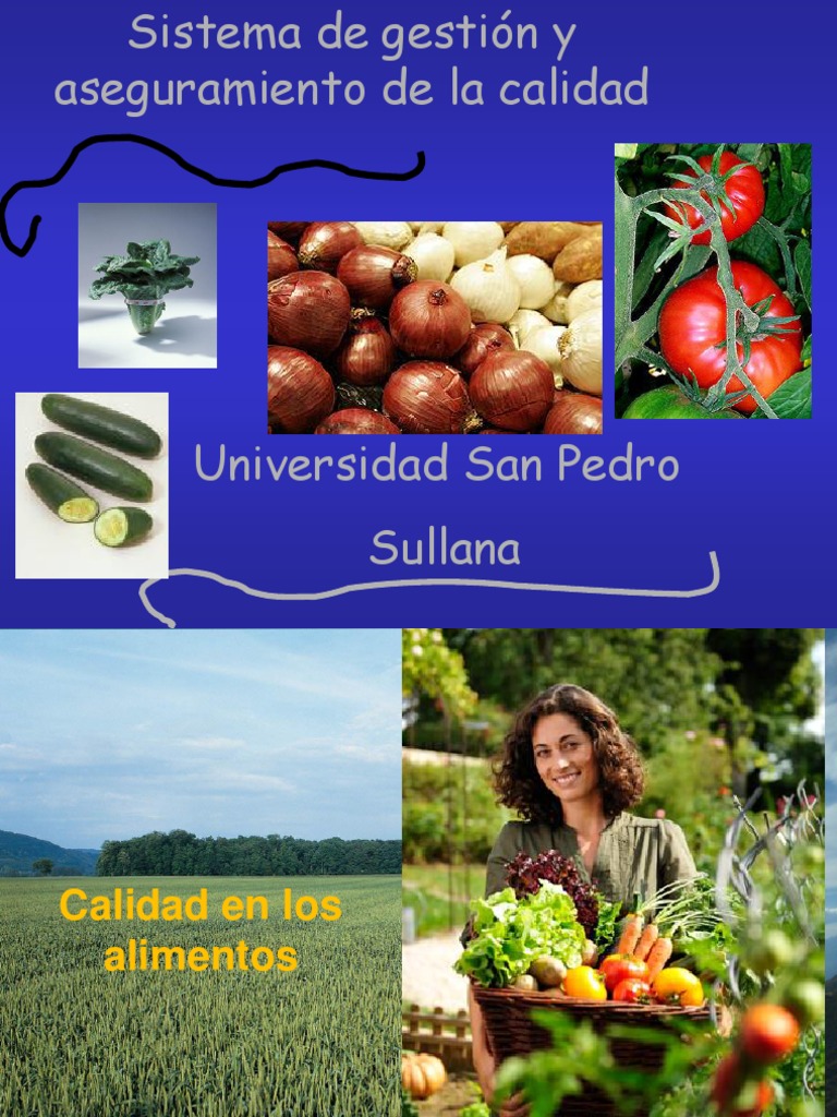 Aseguramiento de La Calidad | PDF | Análisis de Riesgo y Puntos ...