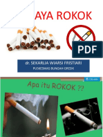 Bahaya Rokok