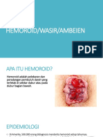Hemoroid (Wasir)
