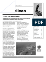 Spring 2008 Pelican Newsletter, Florida Sierra Club