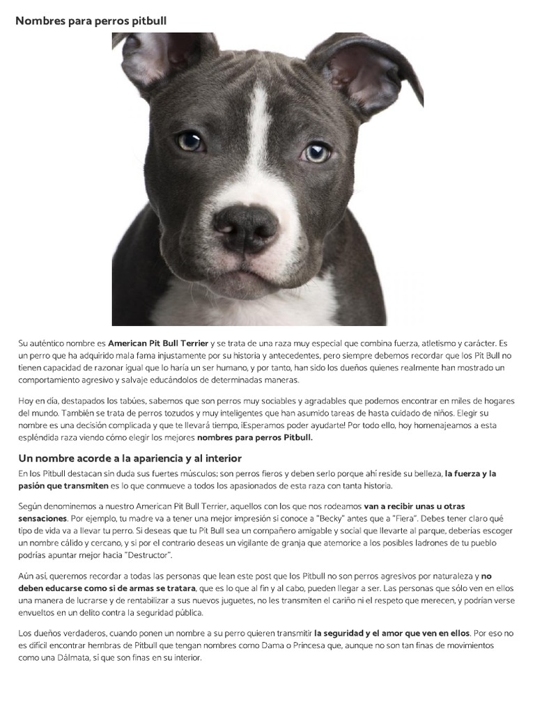 Nombres para Perros Pitbull PDF