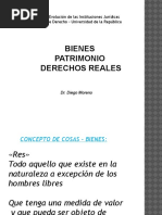 Bienes - Copia