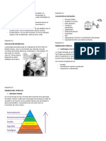 Psicología Humanista