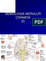 187386642-Curs-7-Nervi-Cr