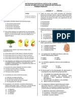 EVALUACION Primer Periodo Grado Quinto