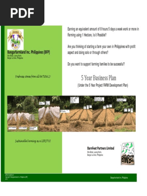 5 Year Business Plan
