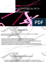 Bases Neurofisiológicas de La Acupuntura