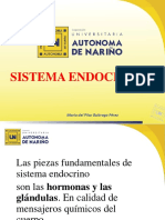 Sistema Endocrino - Anatomia