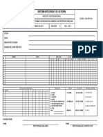 Formato Inspeccion de EPP 2017