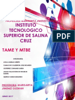 Trabajo Mtbe y Tame PDF