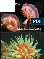 coelenterata1.pdf