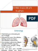 Anatomi Respirasi Upn Baru