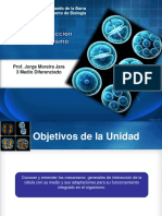 Diferencacion y Desarrollo 3 Medio