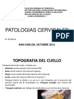 Patologias Cervicales