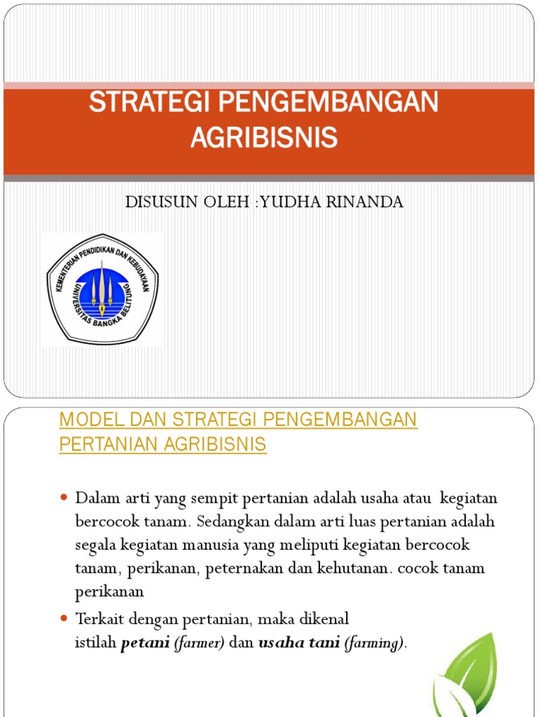 Strategi Jitu! Kembangkan Agribisnis Desa Tembus Pasar Dunia