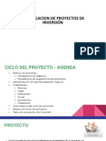 Formulacion de Proyectos de Inversion