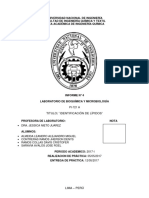 L04_Lipidos_GRUPO 1.pdf