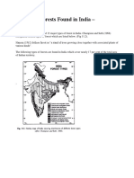 5 Types of Forests Found in India