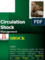 Shock Man PDF