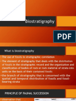 Biostratigraphy Techniques